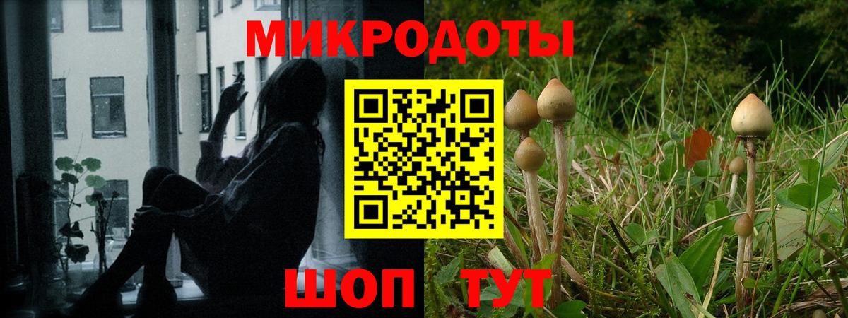 Кировск  Галлюциногенные грибы Psilocybe  Вход с VPN 
